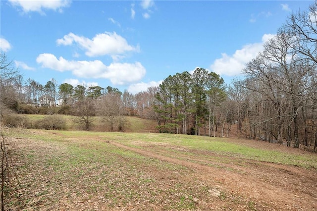 view of yard featuring a wooded view