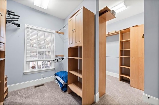 walk in closet featuring visible vents and carpet flooring