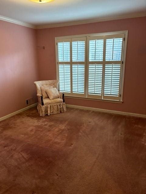 unfurnished room with crown molding and carpet flooring