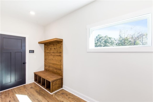 102 Red Oak Ln, Carrollton, GA 30116 - mudroom with wood finished floors and recessed lighting