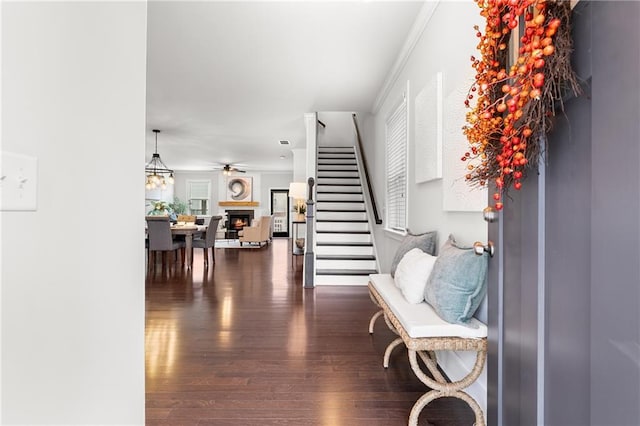 foyer entrance with ceiling fan and dark hardwood / wood-style floors