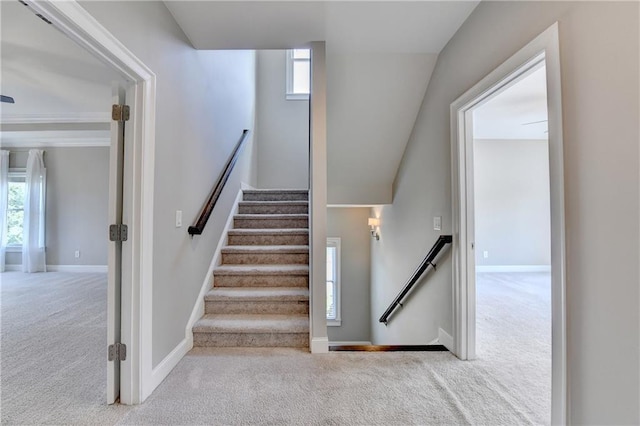3910 Cameron Ct, Cumming, GA 30040 - staircase featuring carpet flooring and baseboards