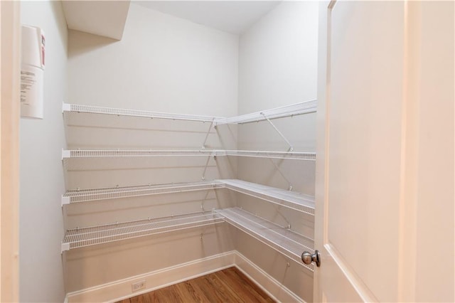 255 Beech Tree Holw, Sugar Hill, GA 30518 - view of storage area