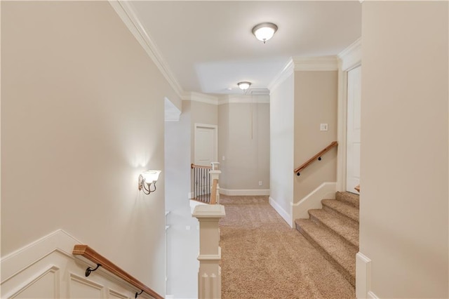 255 Beech Tree Holw, Sugar Hill, GA 30518 - staircase featuring ornamental molding and carpet flooring