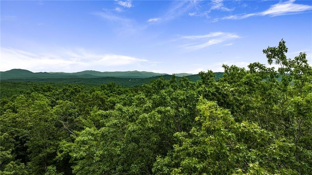 view of mountain feature