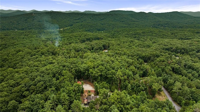 view of mountain feature