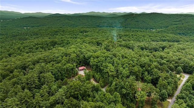 birds eye view of property featuring a mountain view