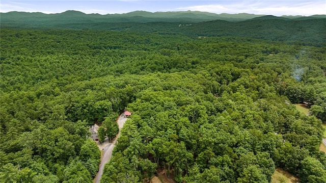 aerial view with a mountain view