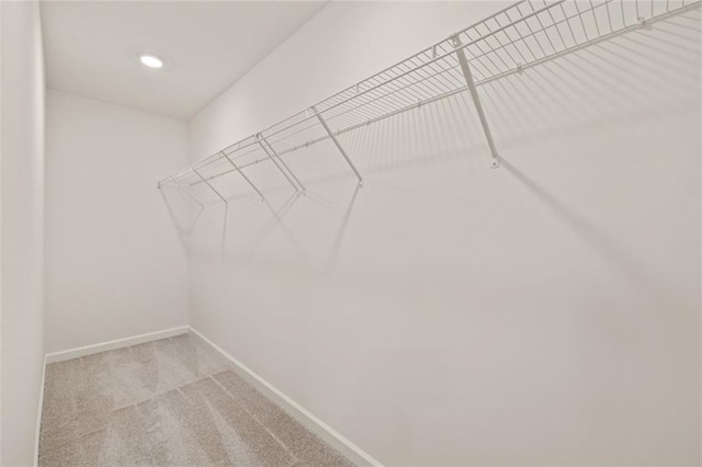 spacious closet with light carpet