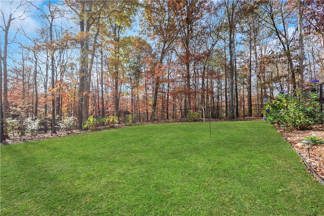 207 Amaranth Ct, Ball Ground, GA 30107 - view of yard
