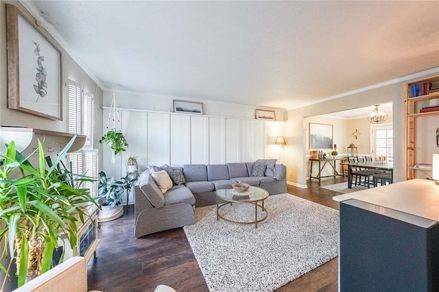 living room featuring an inviting chandelier, dark hardwood / wood-style floors, crown molding, and a healthy amount of sunlight