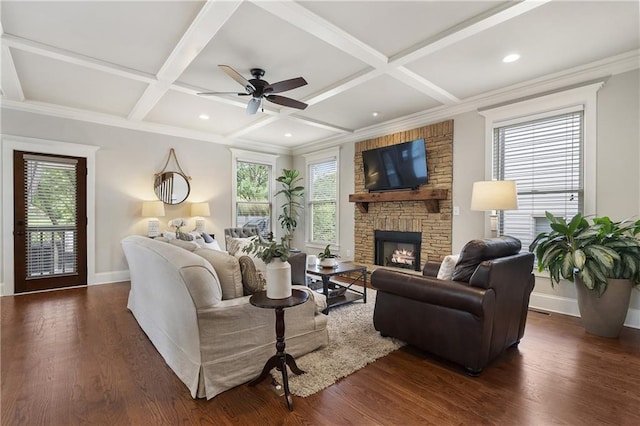 living room with coffered ceiling, a stone fireplace, plenty of natural light, and baseboards