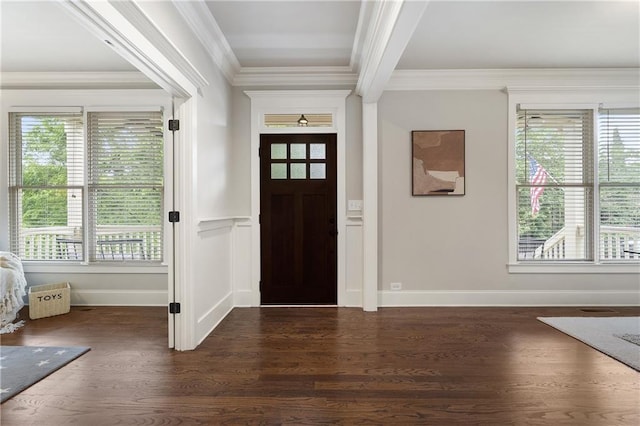 foyer entrance with ornamental molding, dark wood-style floors, baseboards, and a healthy amount of sunlight