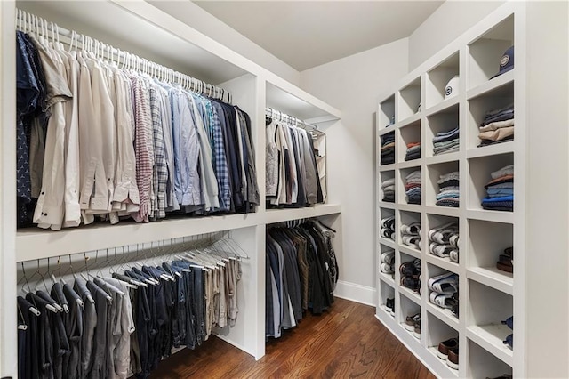 spacious closet featuring wood finished floors