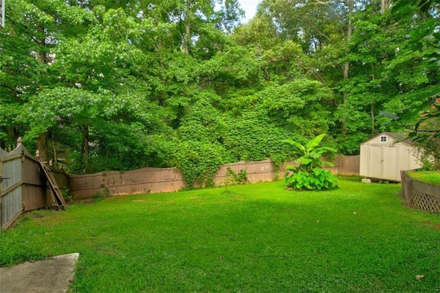 1137 Eagles Nest Cir, Carrollton, GA 30116 - fenced backyard featuring a storage unit