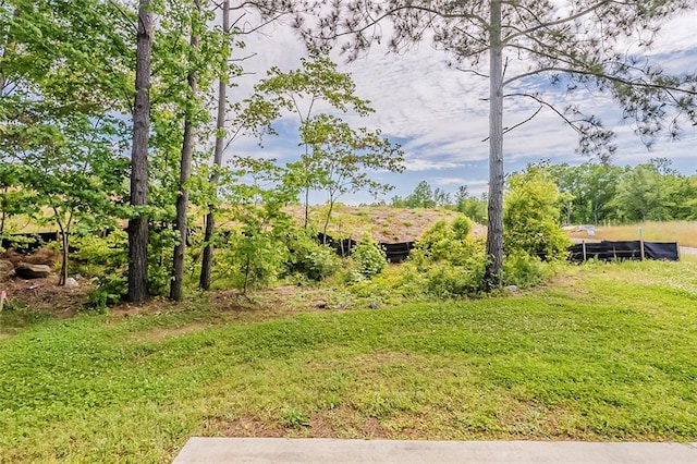 view of yard