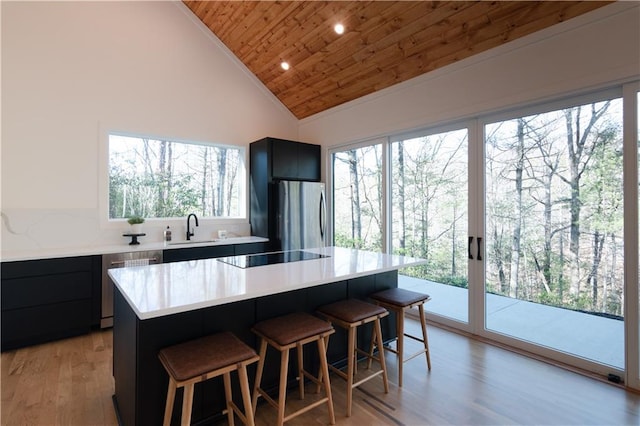 269 Clarice Ln, Sautee Nacoochee, GA 30571 - kitchen featuring a kitchen breakfast bar, appliances with stainless steel finishes, wooden ceiling, and a sink