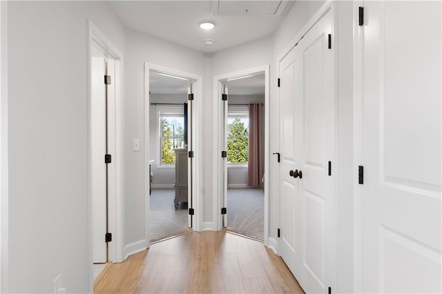 corridor with light wood-type flooring