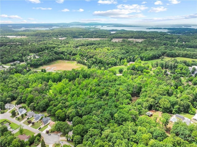 6333 Horizon Dr, Flowery Branch, GA 30542 - aerial view of a heavily wooded area