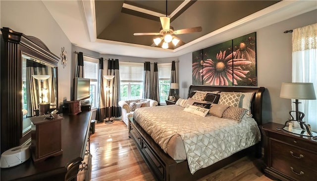 9742 Fallview Ct, Villa Rica, GA 30180 - bedroom featuring a tray ceiling, light wood-style flooring, and ceiling fan
