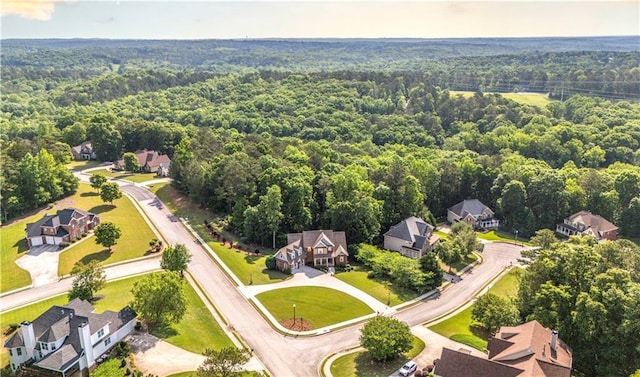 9742 Fallview Ct, Villa Rica, GA 30180 - aerial perspective of suburban area with a forest