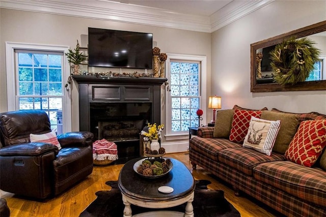living area featuring wood finished floors, a fireplace, and crown molding