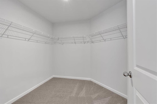 14 Grove Pointe Way SE, Cartersville, GA 30120 - spacious closet featuring carpet floors