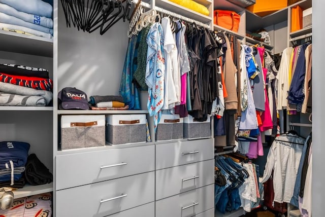 623 Brennan Dr, Decatur, GA 30033 - view of spacious closet
