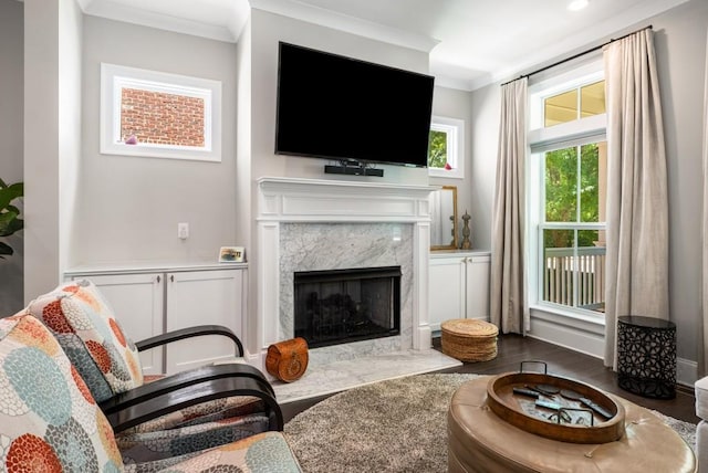 623 Brennan Dr, Decatur, GA 30033 - living area with crown molding, wood finished floors, and a fireplace