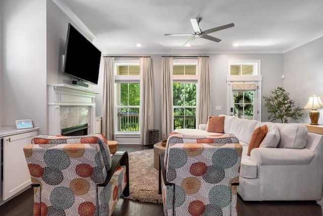623 Brennan Dr, Decatur, GA 30033 - living area featuring crown molding, ceiling fan, dark wood-style flooring, a premium fireplace, and recessed lighting