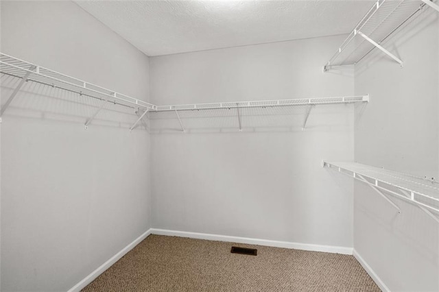 walk in closet featuring carpet flooring