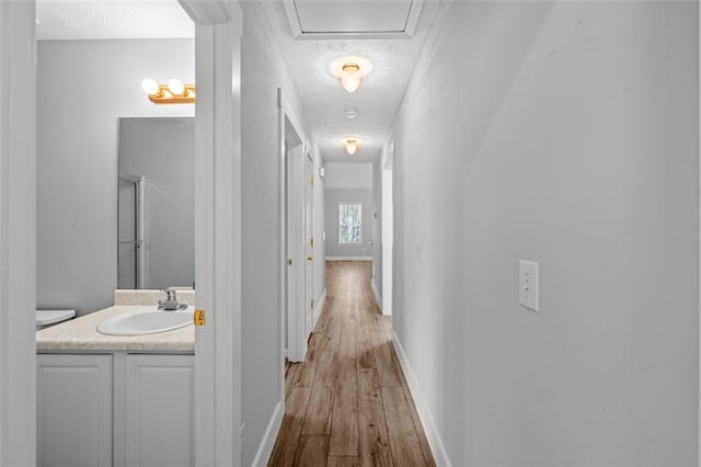 hallway featuring light hardwood / wood-style floors and sink