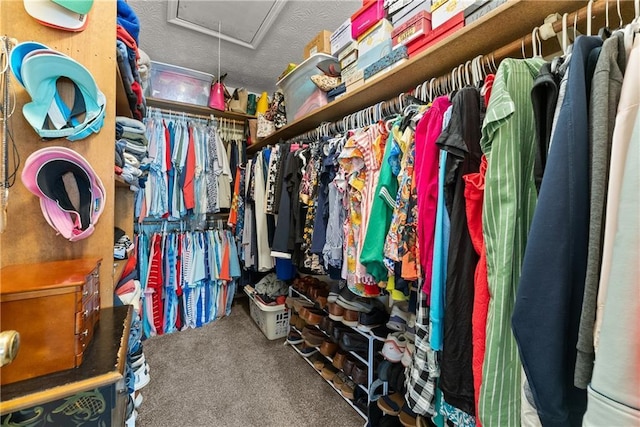 1083 Wash Lee Dr SW, Lilburn, GA 30047 - spacious closet with attic access and carpet flooring