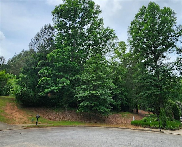 126 Big Cotton Trl, Mcdonough, GA 30252
