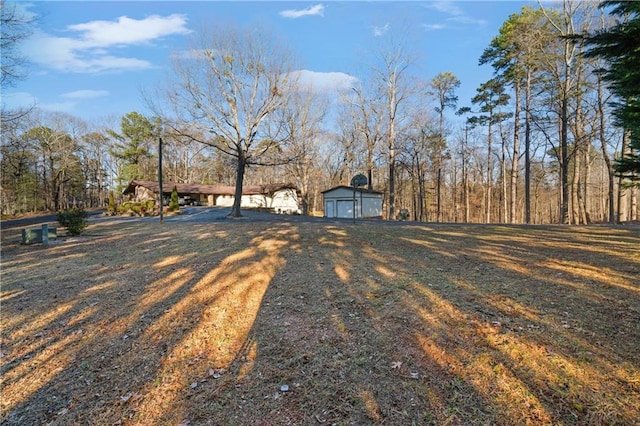view of yard with a shed and an outdoor structure