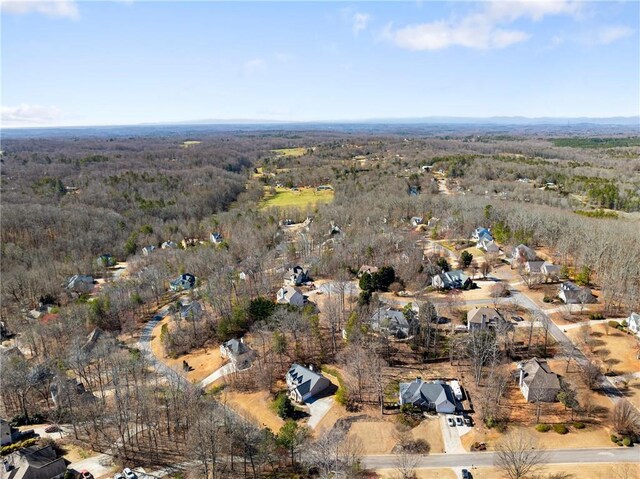 bird's eye view with a forest view