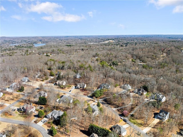 drone / aerial view