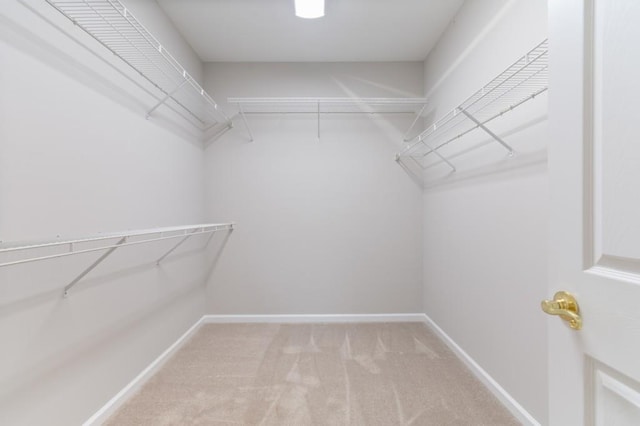 spacious closet with light carpet