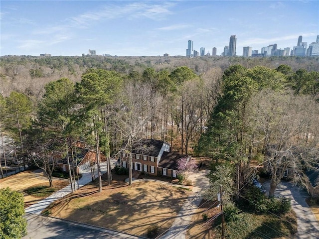 drone / aerial view of a view of skyline and a forest