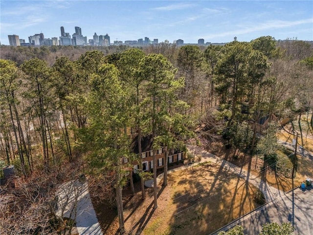 bird's eye view of a view of skyline