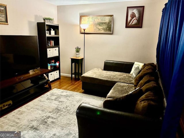 living room featuring wood-type flooring