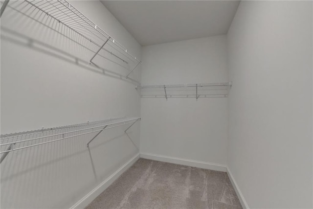 walk in closet featuring carpet flooring