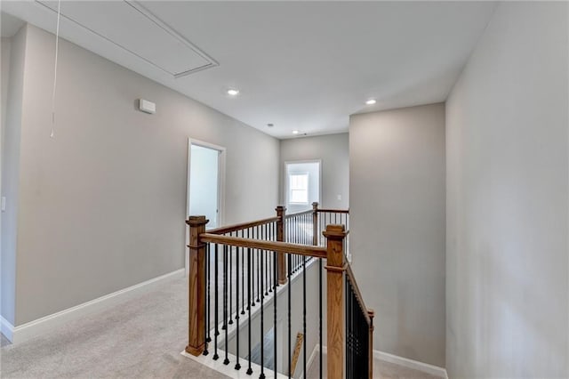 stairs with carpet floors