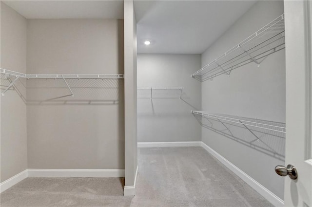 walk in closet with light colored carpet