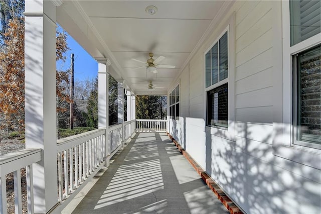 view of patio / terrace featuring ceiling fan and a porch