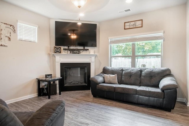 living room with wood-type flooring