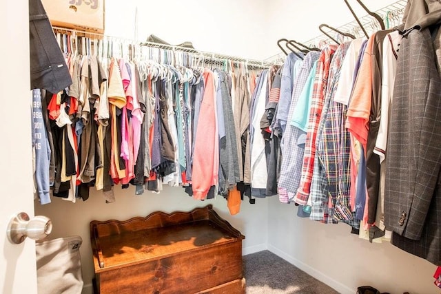 spacious closet featuring carpet flooring