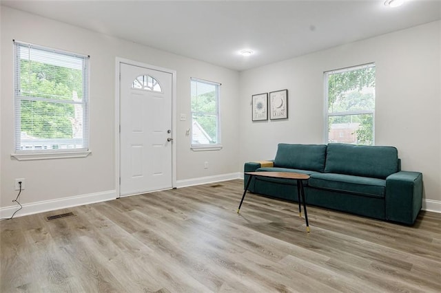 foyer with light hardwood / wood-style floors and plenty of natural light