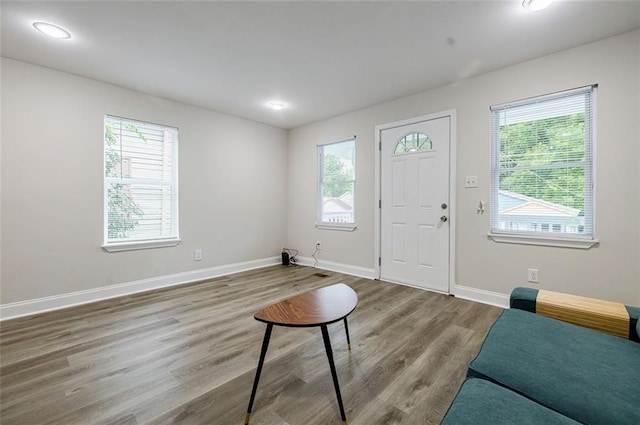 foyer with wood-type flooring and a wealth of natural light