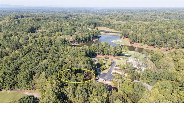 Listing photo 2 for 250 Hawks Lake Dr, Ball Ground GA 30107